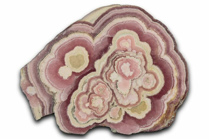 Banded Rhodochrosite Stalactite Section - Argentina #354507